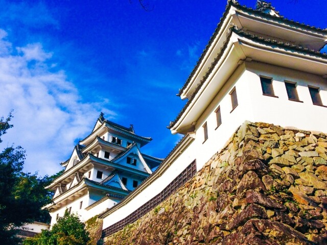 徳川城